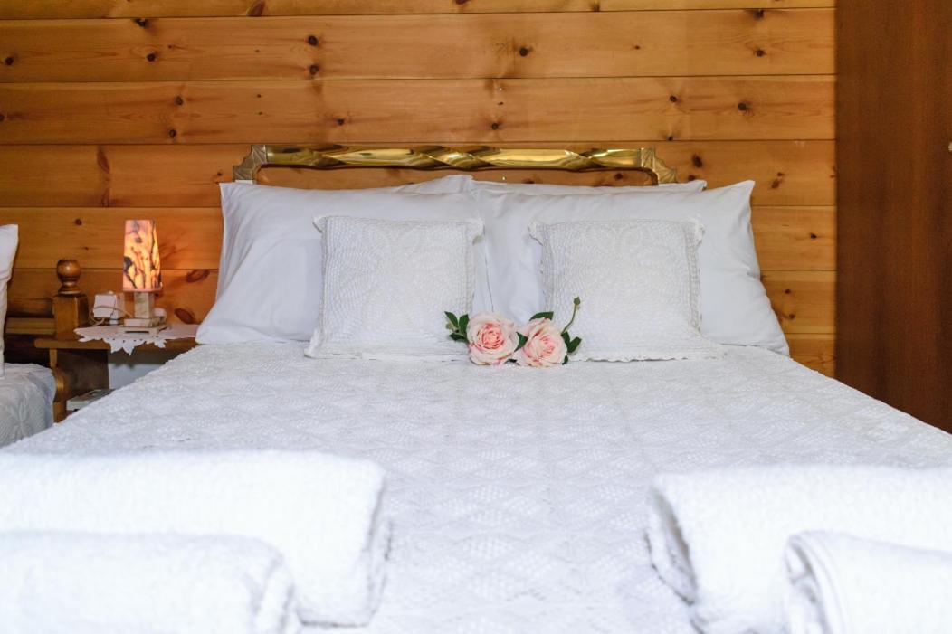 Dimitris'S Country House Agia  Екстер'єр фото
