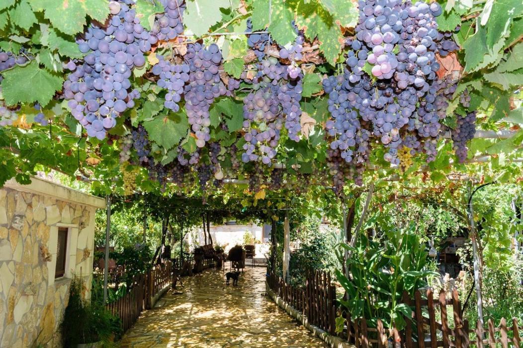 Dimitris'S Country House Agia  Екстер'єр фото