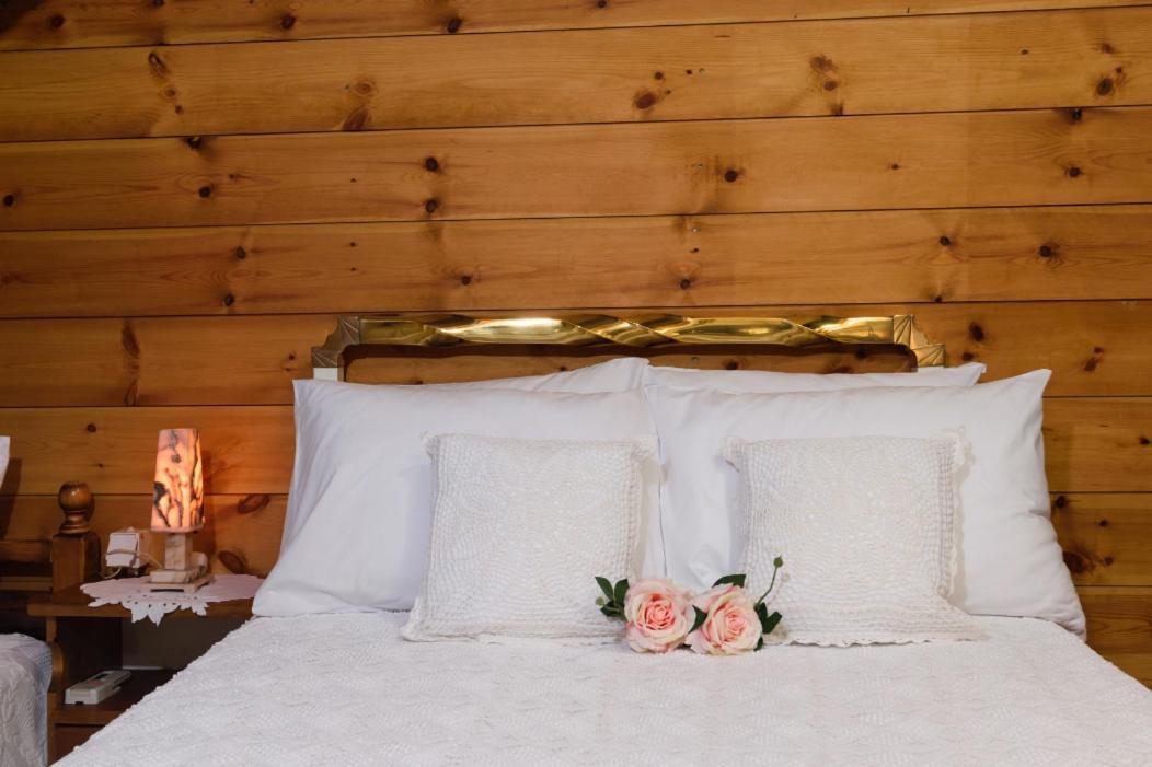 Dimitris'S Country House Agia  Екстер'єр фото