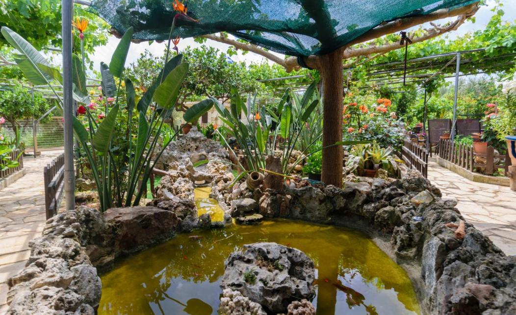 Dimitris'S Country House Agia  Екстер'єр фото