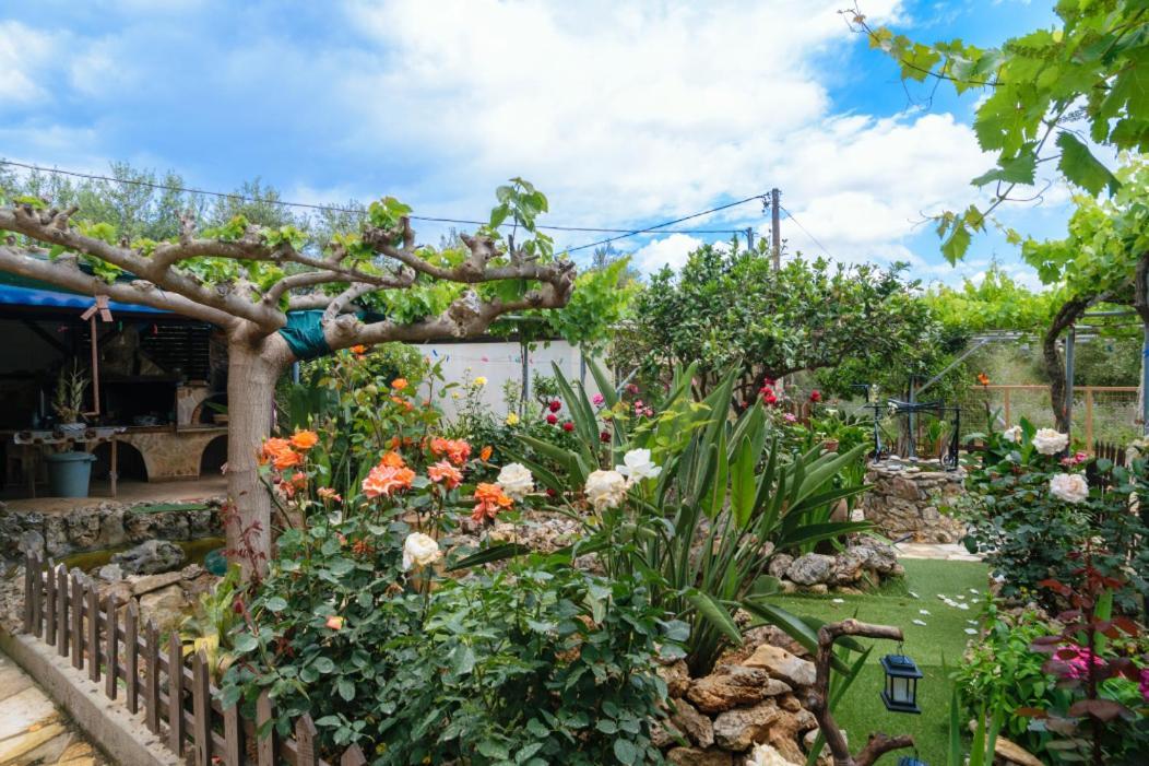 Dimitris'S Country House Agia  Екстер'єр фото