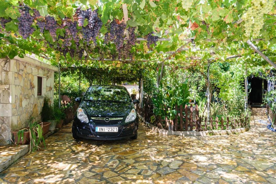 Dimitris'S Country House Agia  Екстер'єр фото