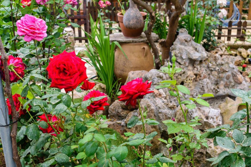 Dimitris'S Country House Agia  Екстер'єр фото